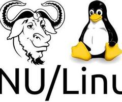 Migracion a Sistemas Operativos GNU Linux